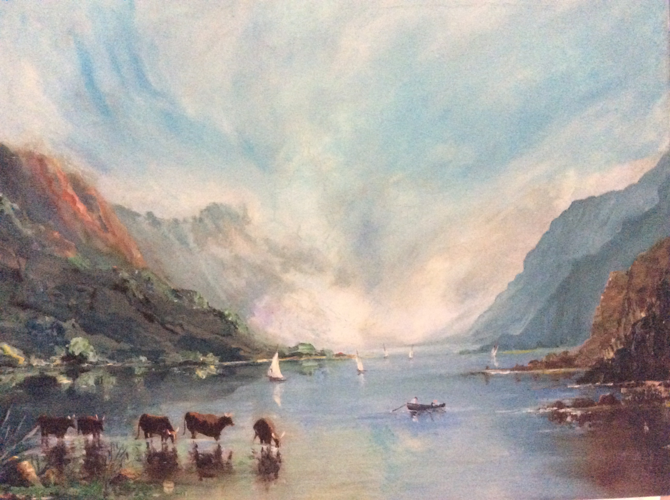 Cows in the scottish highlands