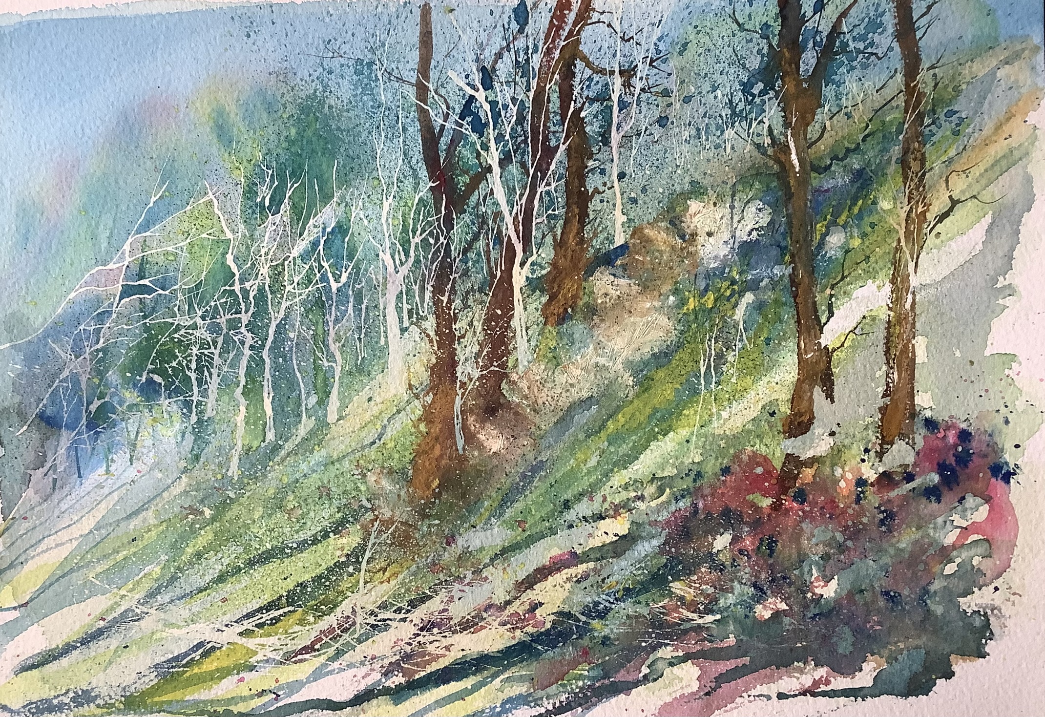 Woodland slope scene