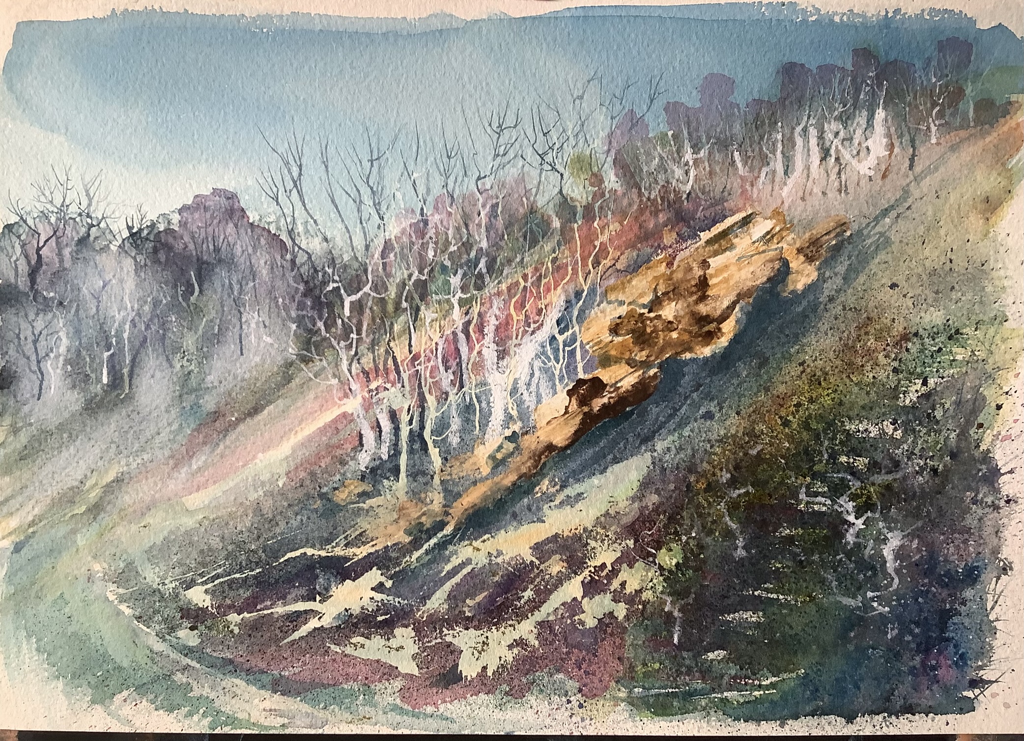 A snapshot of a country walk