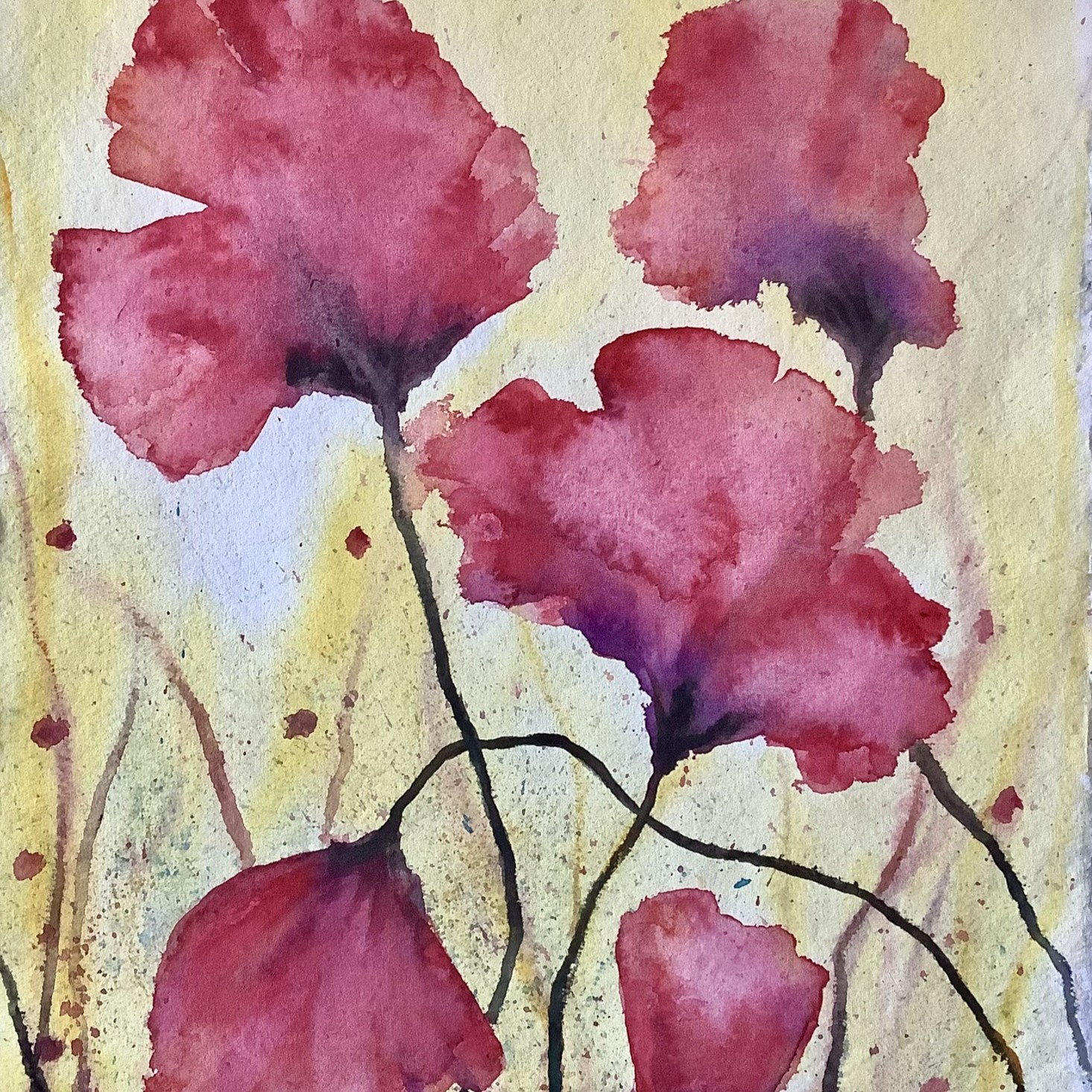 A handful of poppys