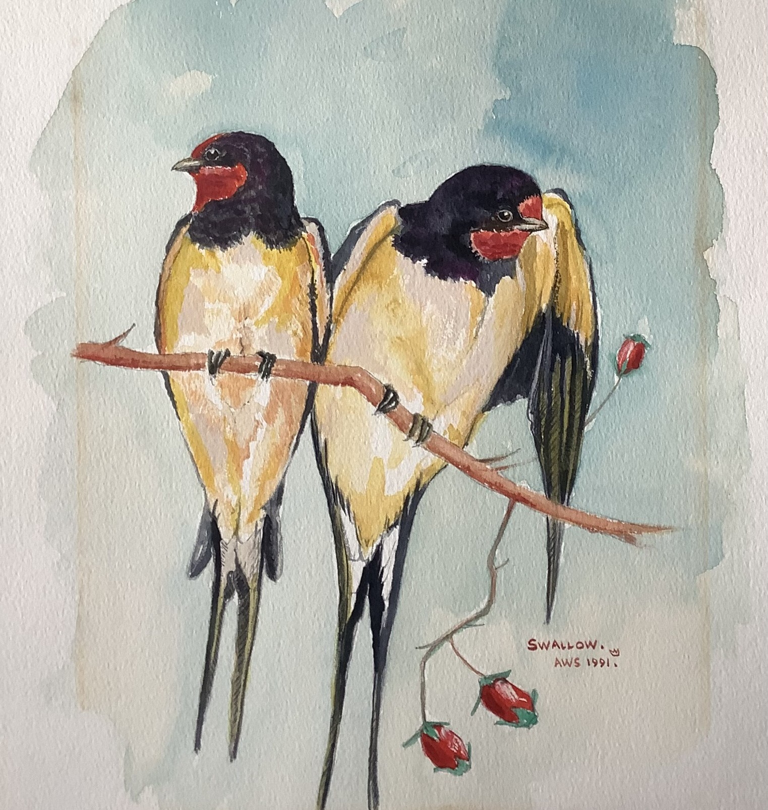 3 Swallows on a branch