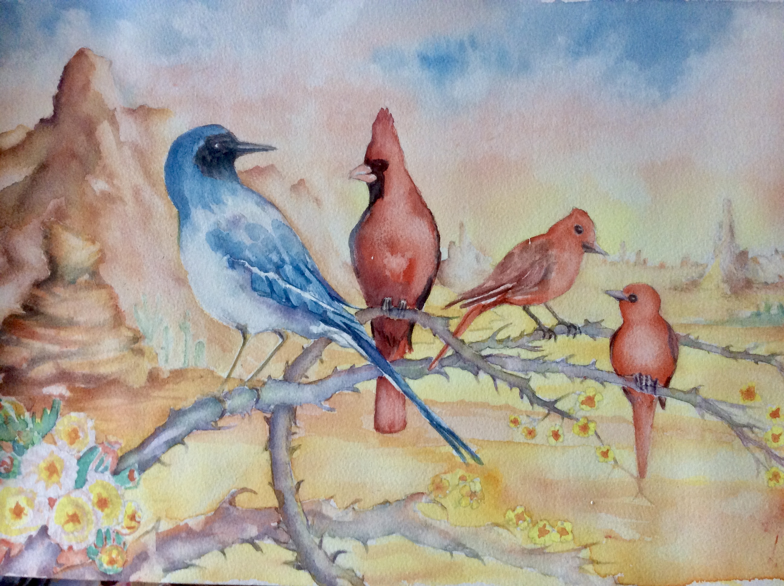 Canadian birds, including a blue jay