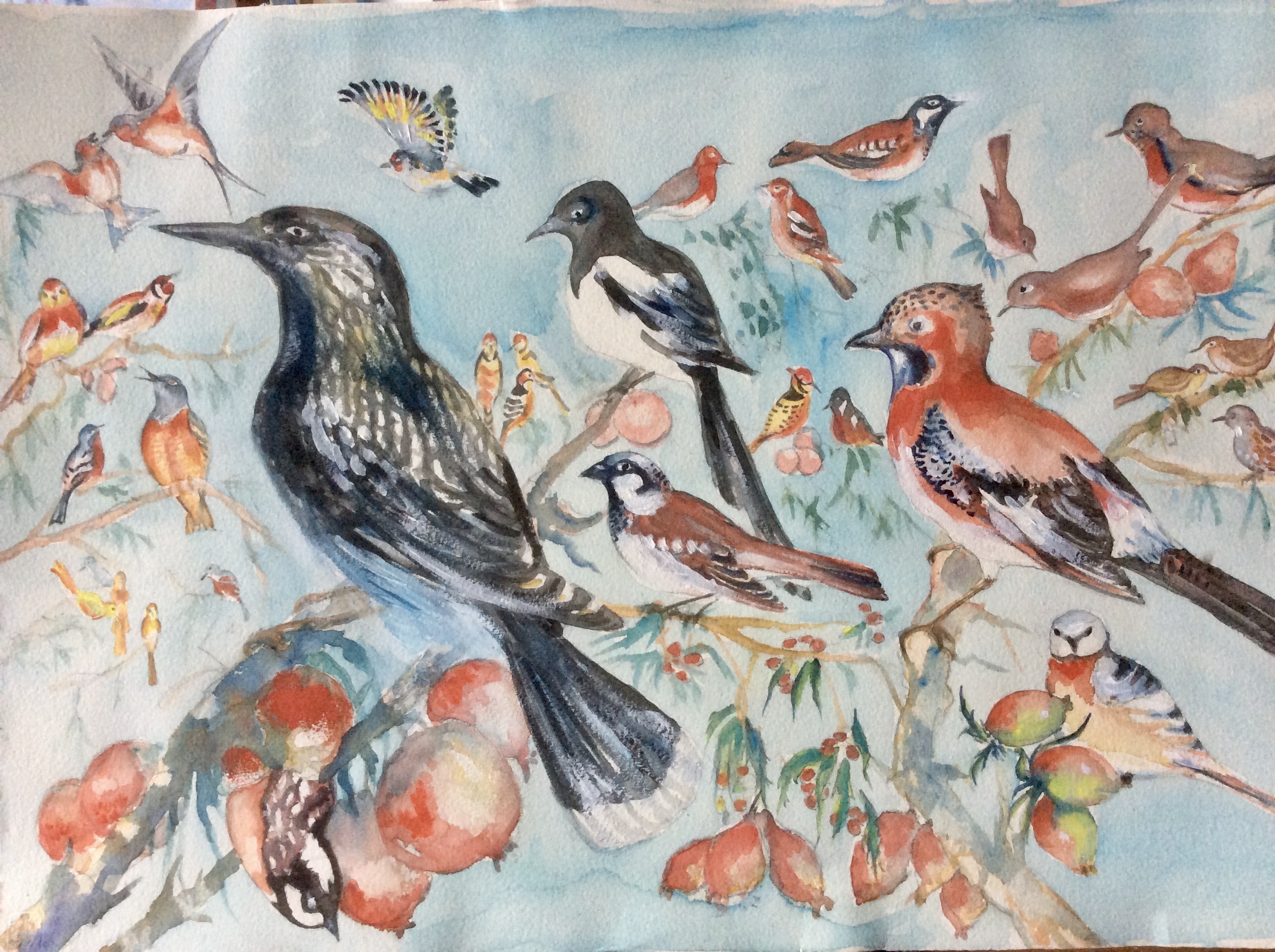 English birds in an apple tree