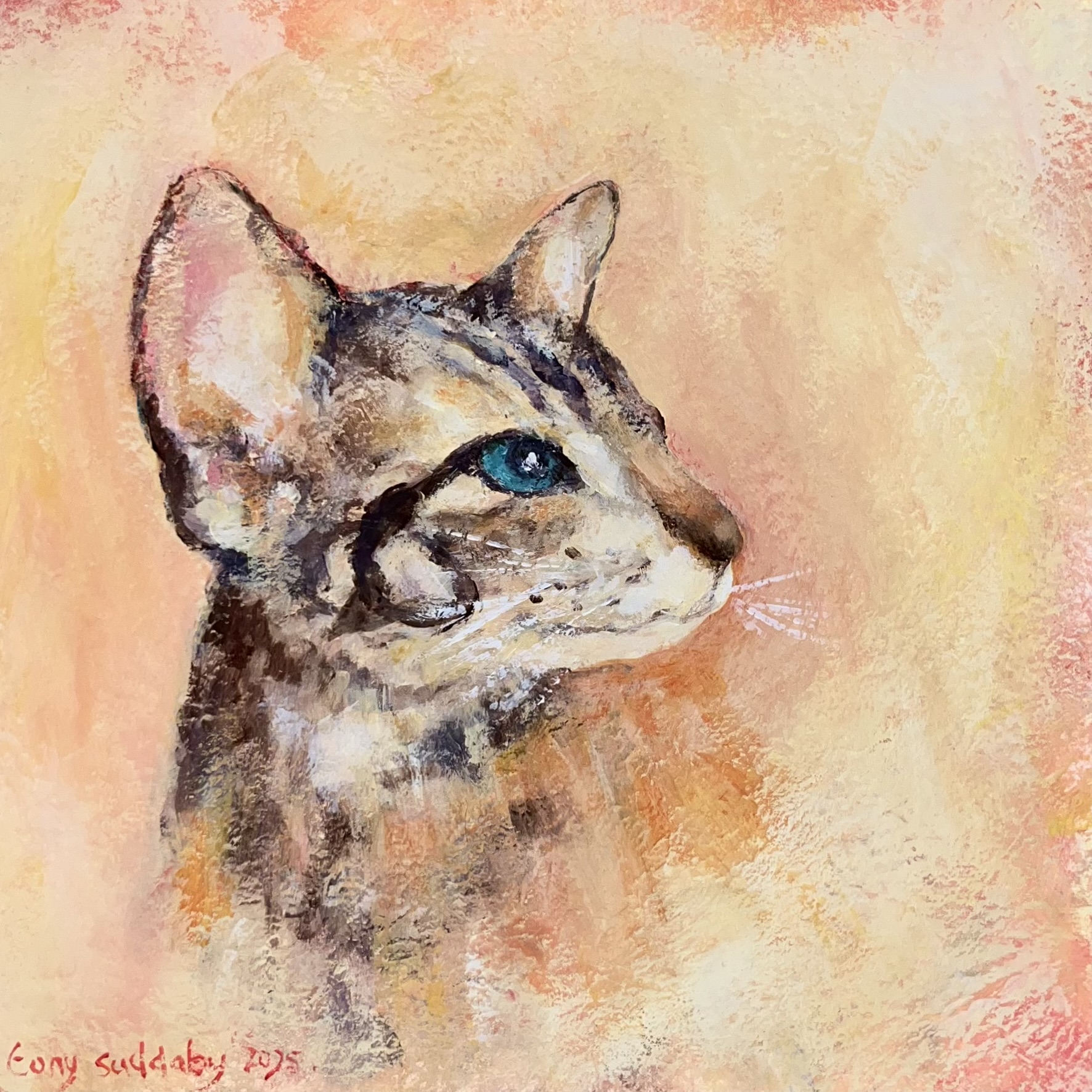  Pet cat commision