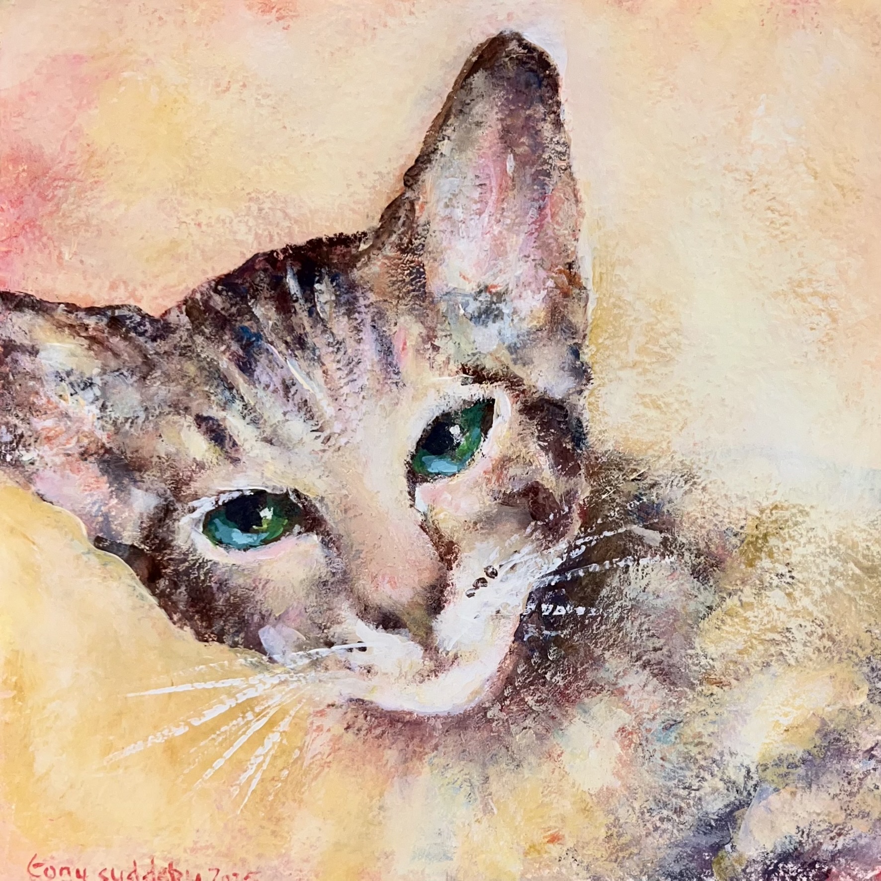 Pet cat commision