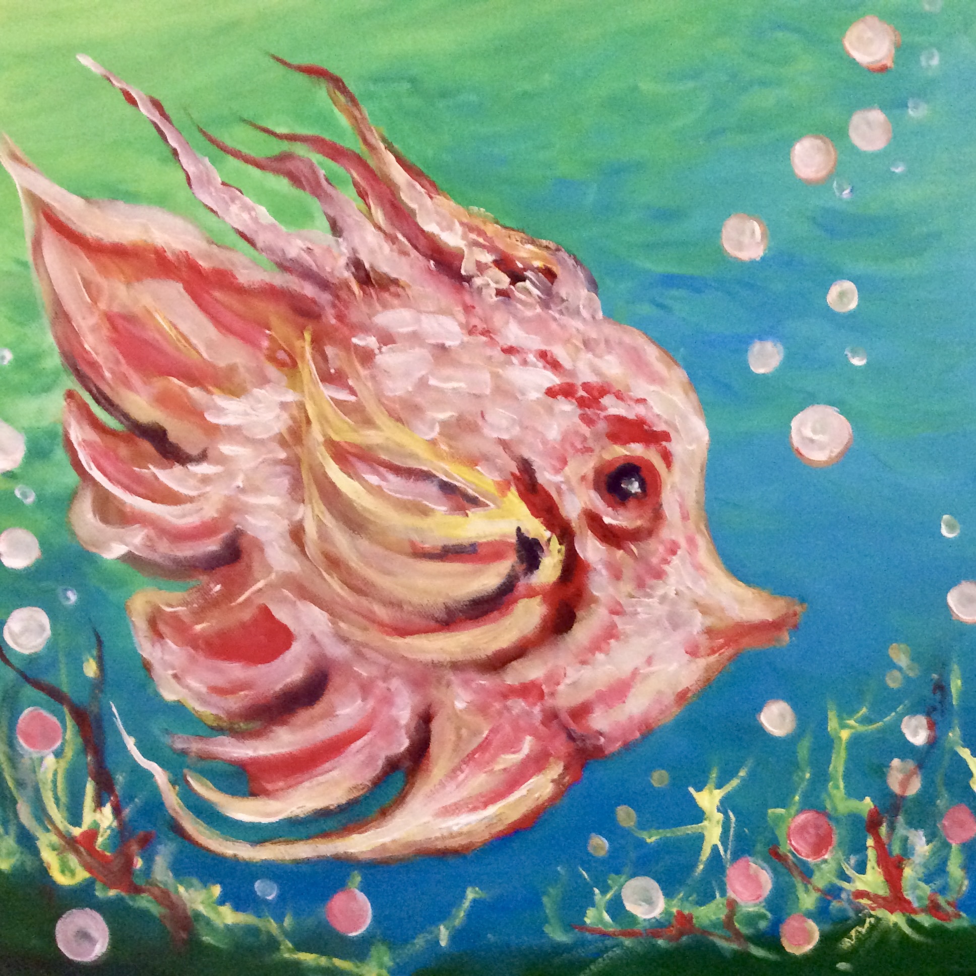 A pink fish in the barrier reef