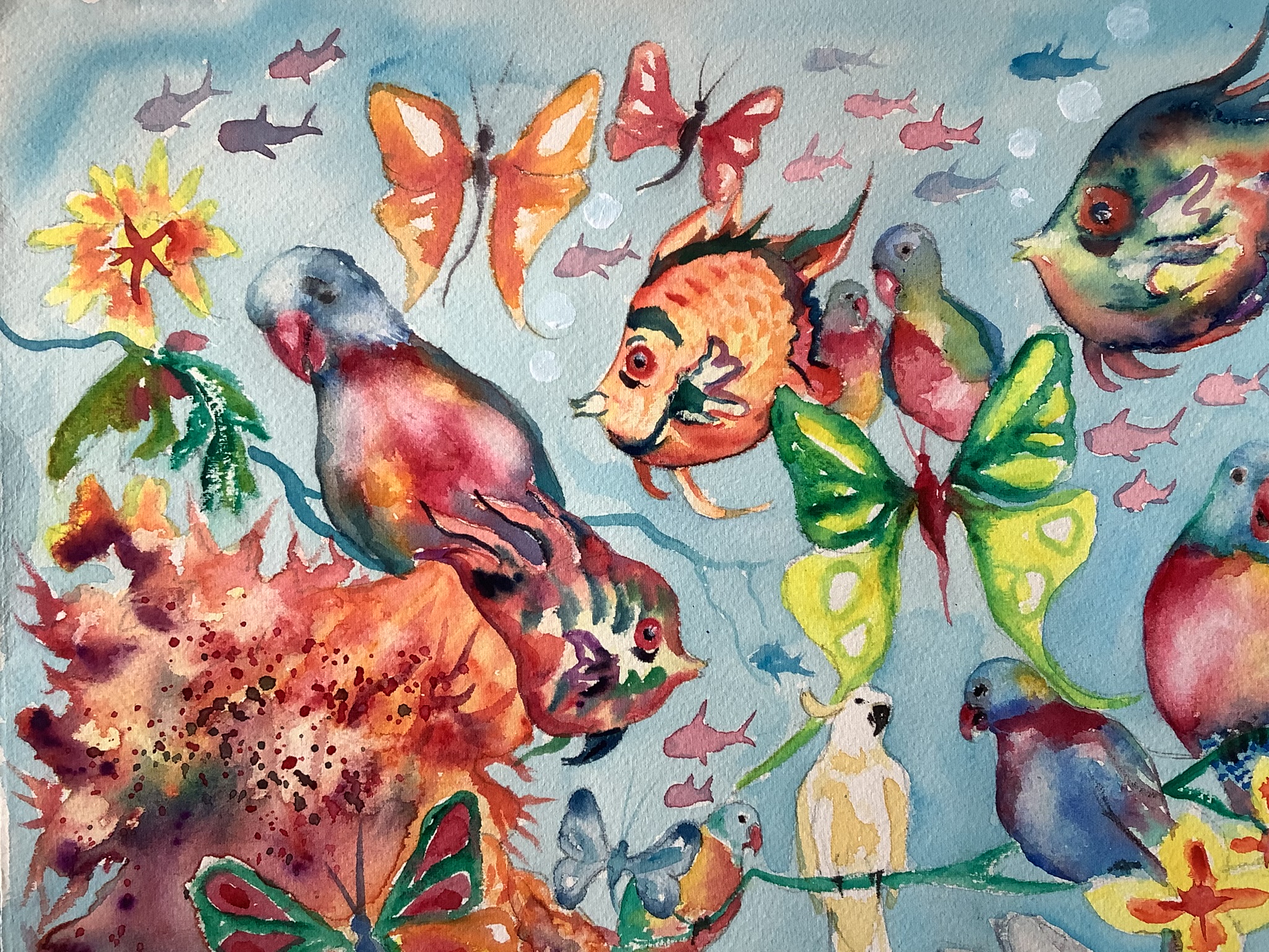 A mixture of fishes, birds and butterflies