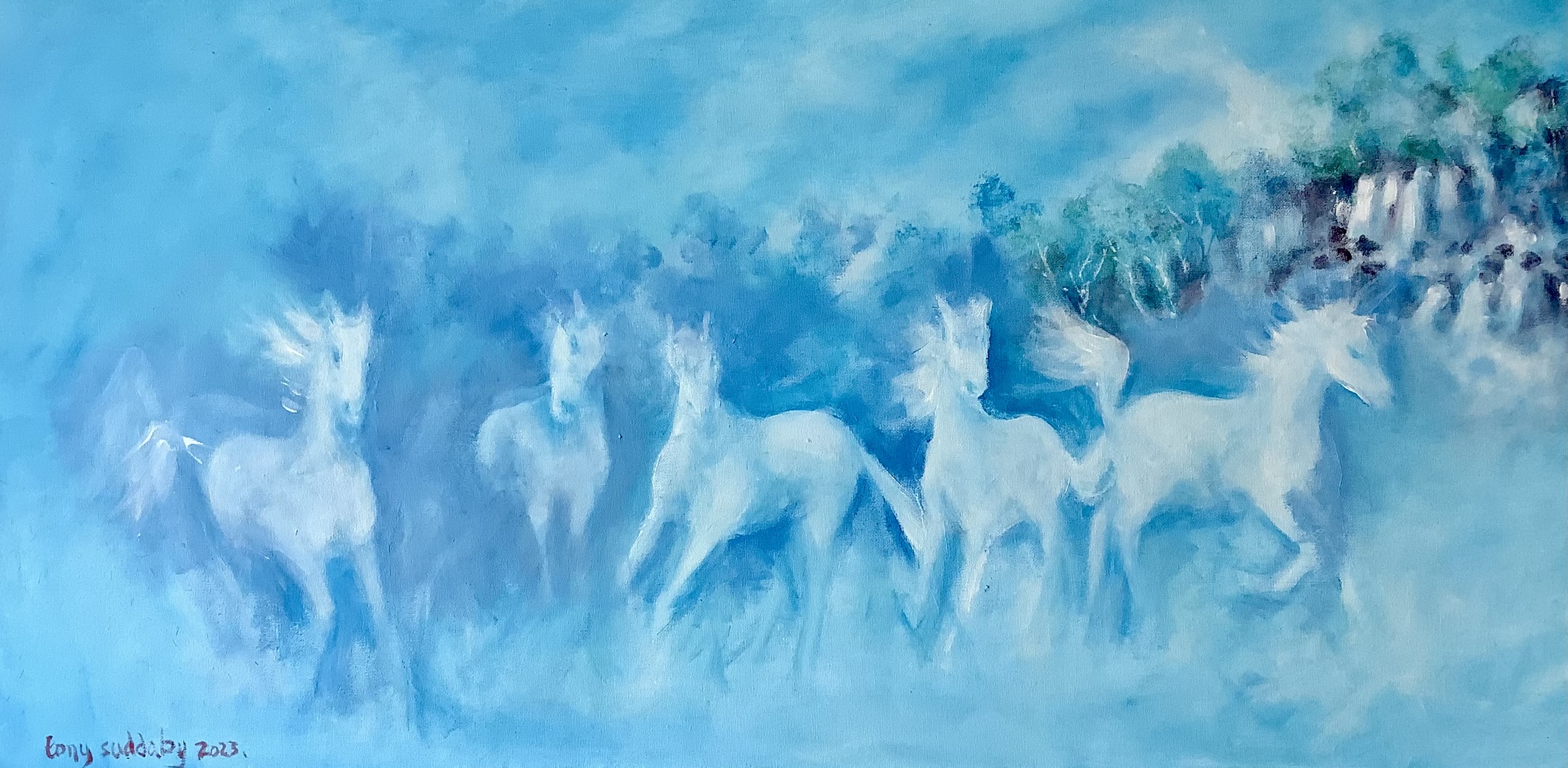 A herd of white horses
