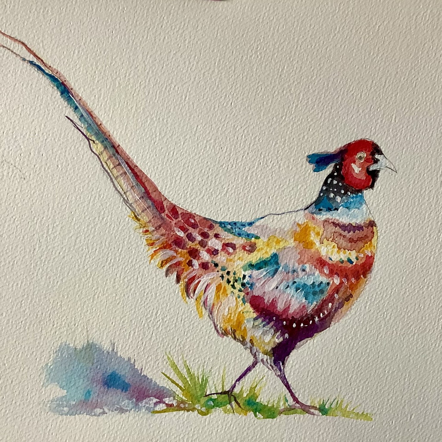 Fountains Abbey Pheasant, part of a set of 3
