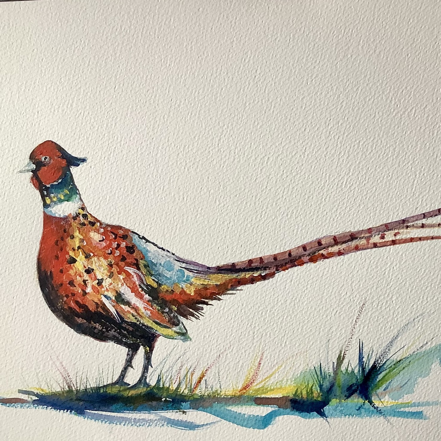 Fountains Abbey Pheasant, part of a set of 3