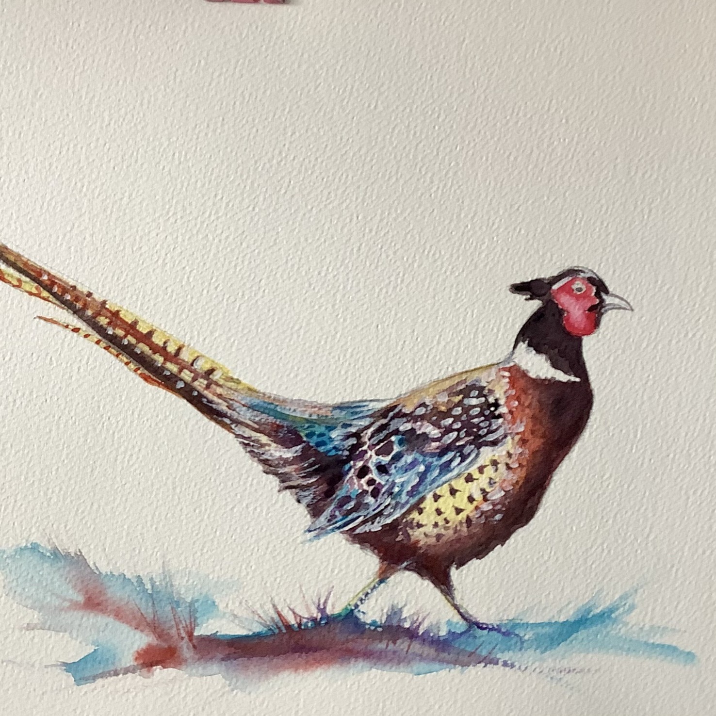 Fountains Abbey Pheasant, part of a set of 3