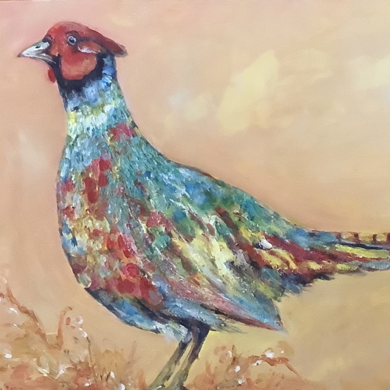 A large, colourful english pheasant