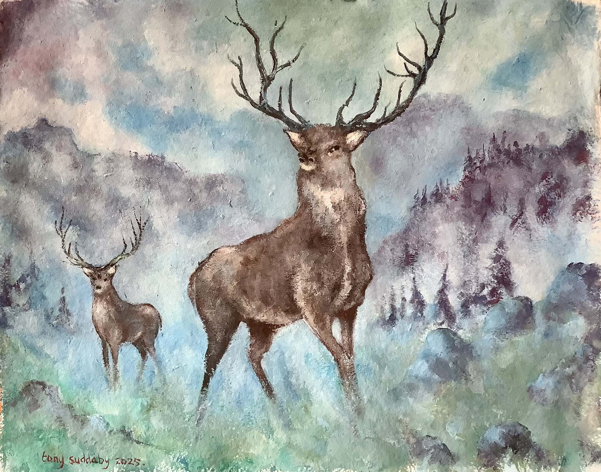 A scottish stag